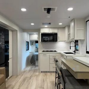 2025 Brinkley MODEL I 265