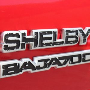 2014 Ford F-150 Shelby Baja Raptor