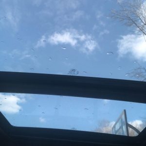 2016 Ford Shelby F-150