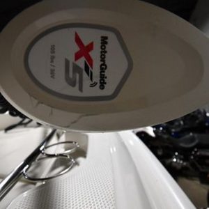 2022 Boston Whaler 250 Dauntless