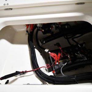 2022 Boston Whaler 250 Dauntless